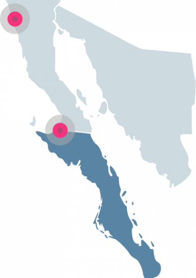 Componente 28 – 1@2x