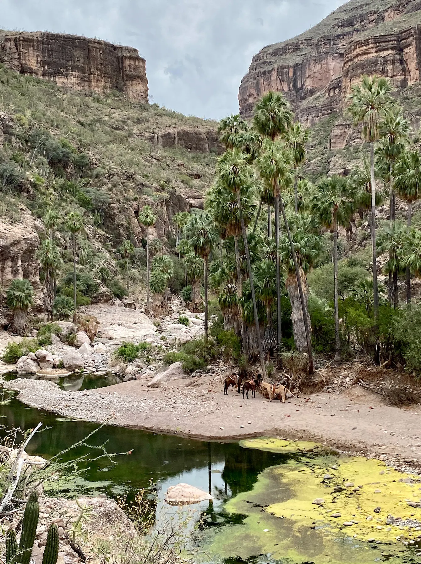 San-Francisco-Sierra-by-NATS11